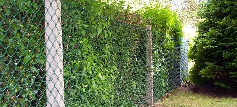 recent chain link fence erected by Farm &amp; Country Fencing